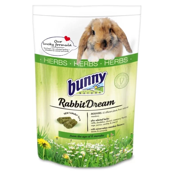 Hrana iepuri Bunny Nature Rabbit Dream